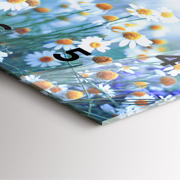 Pendule carrée en verre Papillon dans la prairie