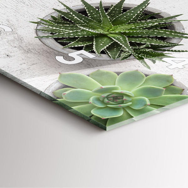 Pendule carrée en verre Plantes ornementales