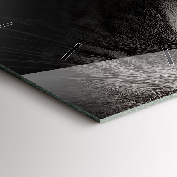 Horloge carrée en verre Chien et chat Scottish Fold