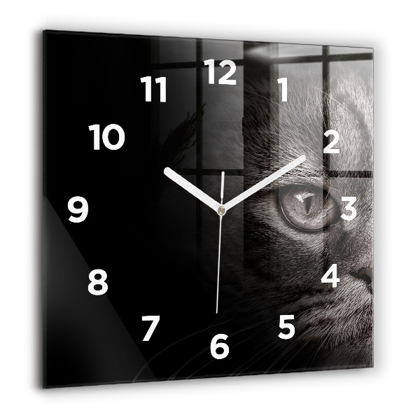Horloge carrée en verre Chien et chat Scottish Fold
