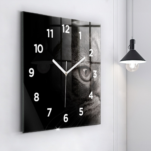 Horloge carrée en verre Chien et chat Scottish Fold