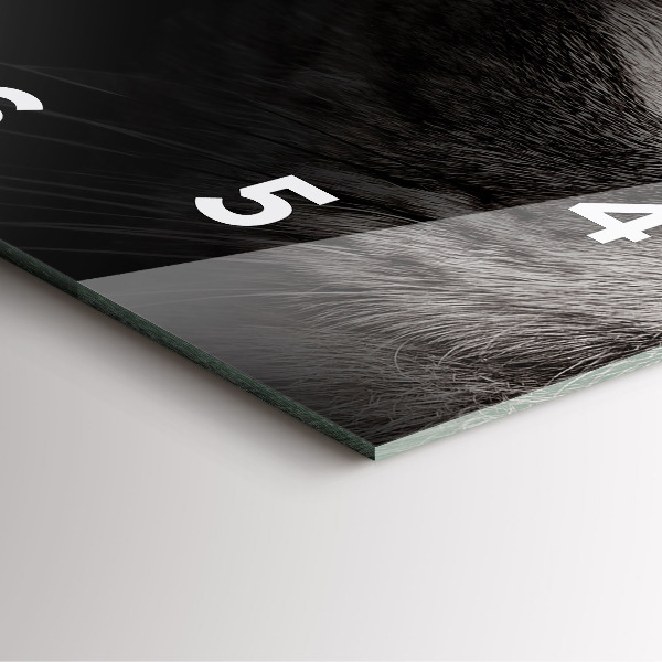 Horloge carrée en verre Chien et chat Scottish Fold