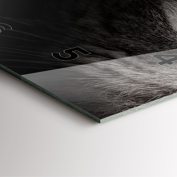 Horloge carrée en verre Chien et chat Scottish Fold