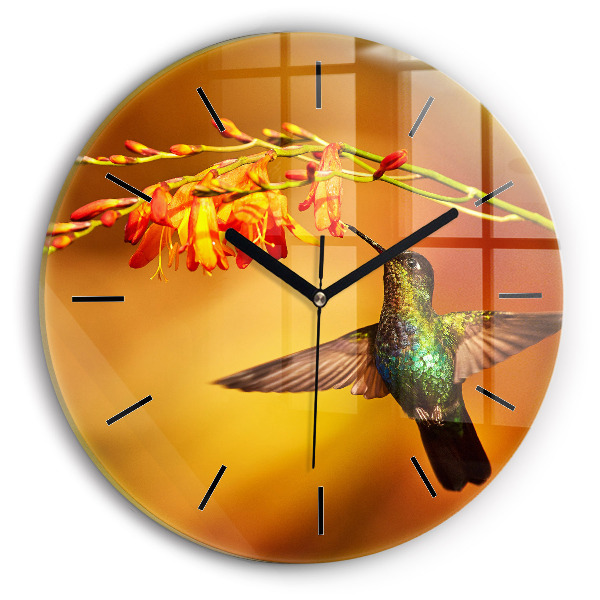 Horloge ronde oiseau colibri