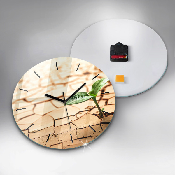 Horloge ronde Planter dans un sol sec