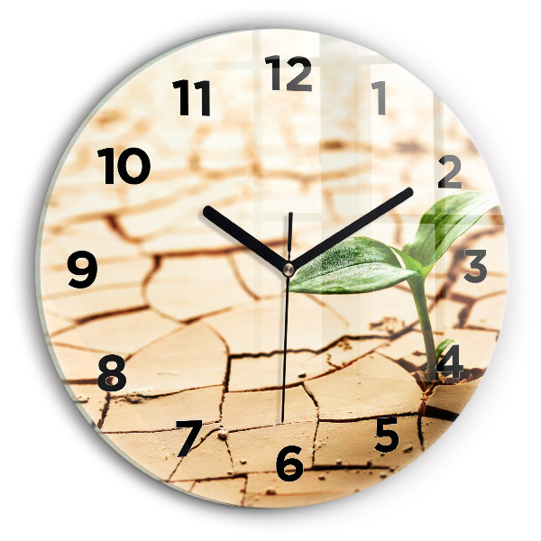 Horloge ronde Planter dans un sol sec
