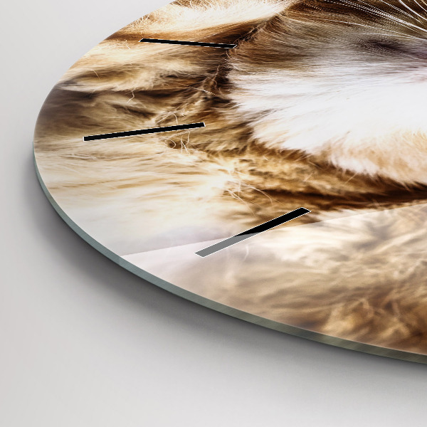 Horloge ronde Petit chaton endormi