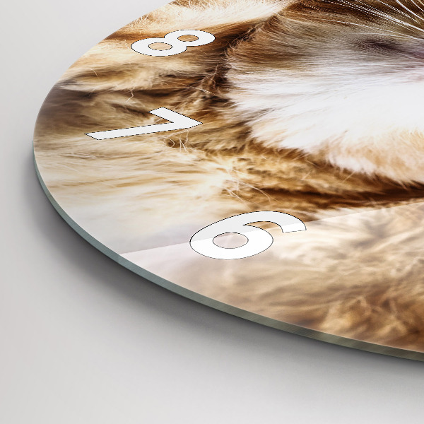 Horloge ronde Petit chaton endormi