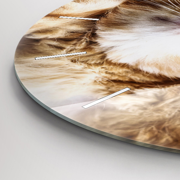 Horloge ronde Petit chaton endormi