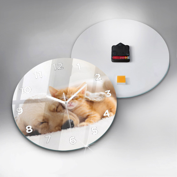 Pendule murale ronde Chat et chien endormis