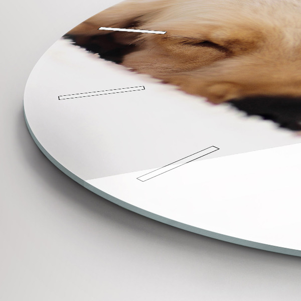 Pendule murale ronde Chat et chien endormis