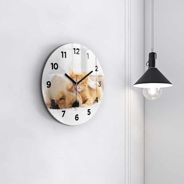 Pendule murale ronde Chat et chien endormis