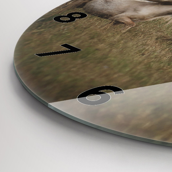 Horloge ronde Chevaux au galop