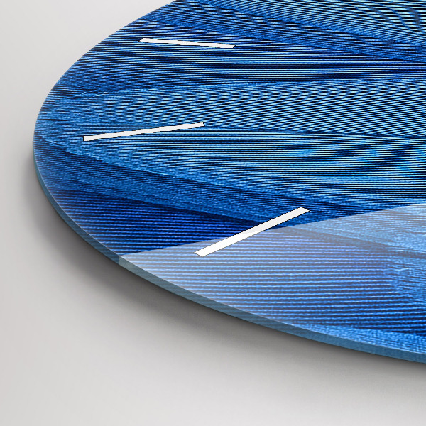 Pendule murale ronde 'Plume d''oiseau'