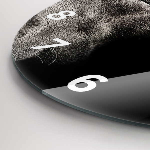 Horloge ronde Chien et chat Scottish Fold