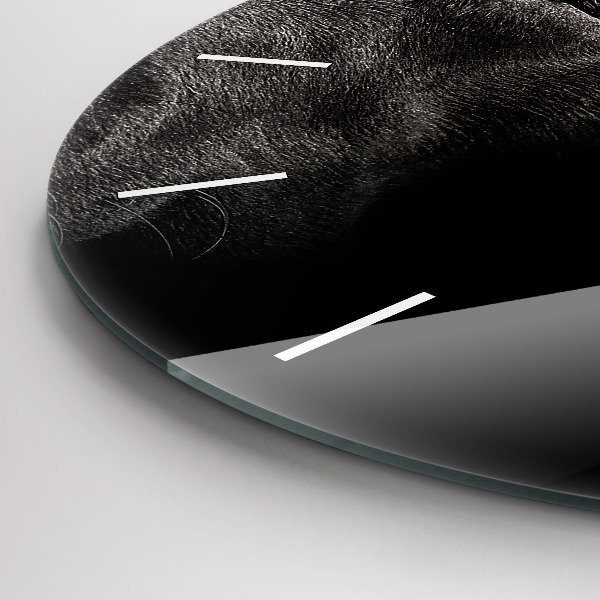 Horloge ronde Chien et chat Scottish Fold