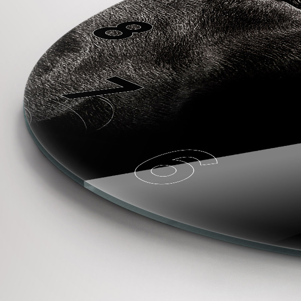 Horloge ronde Chien et chat Scottish Fold