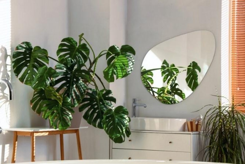 miroir pour une salle de bain blanche