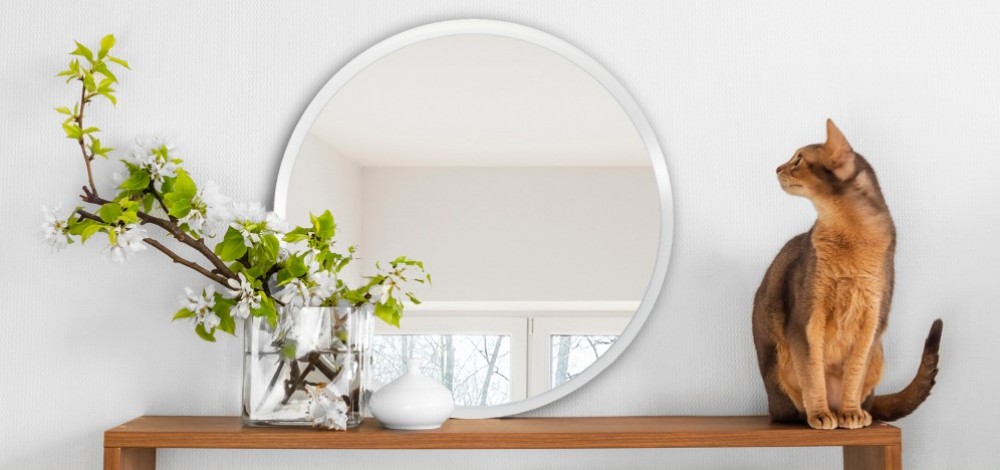 comment-choisir-un-miroir-qui-mettra-en-valeur-le-style-de-votre-maison2